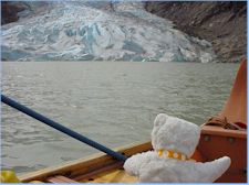 Perry meets Davidson Glacier