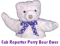 Cub reporter Perry Bear